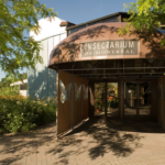 蒙特利尔昆虫饲养所(Montreal Insectarium)